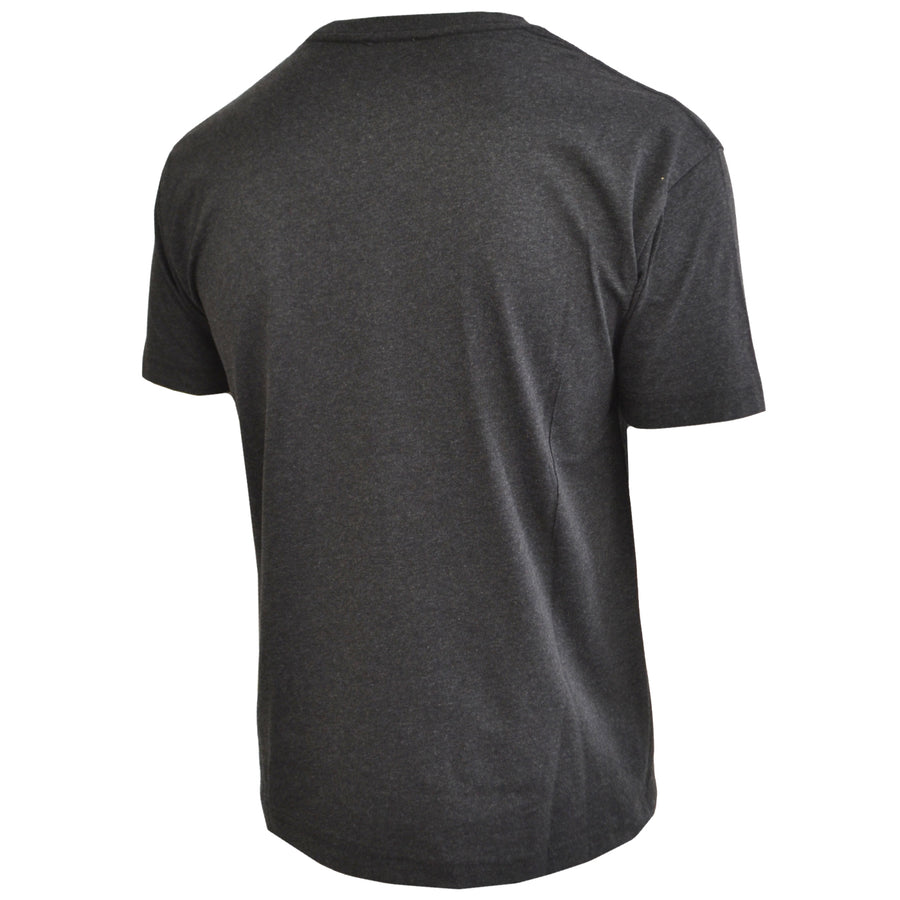 T Shirt Grey colorful logo
